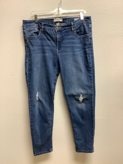 Vintage America Blues Weekend Crop Jeans Distressed Size 8/29 (IS)
